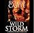 Wild Storm (Derrick Storm, #5)