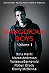 Dangerous Boys (Volume 1)