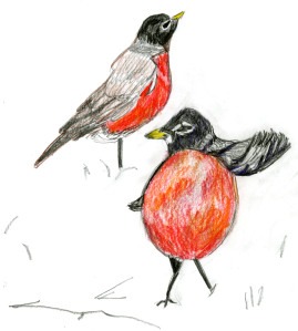 Bird-Watcher's Diary Entries: An Illustrated Chapbook Jane Beal