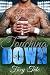 Touching Down: A Stepbrothe...