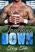 Touching Down: A Stepbrother Romance