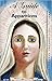 A Guide to Apparitions of Our Blessed Virgin Mary