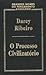 O processo civilizatório
