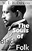W. E. B. Du Bois: The Souls of Black Folk (Illustrated)