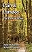 Pain & Paradox, the Path of...