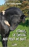 Etoile, le cheval aux yeux de nuit by Elodie Soury-Lavergne