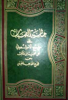 حاشية الصبان على شرح الأشمونى لألفية ابن مالك (Unknown Binding)