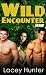 Wild Encounter