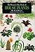 Woman's Day Book of House Plants