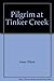 Pilgrim at Tinker Creek