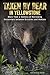 Taken by Bear in Yellowstone by Kathleen Snow