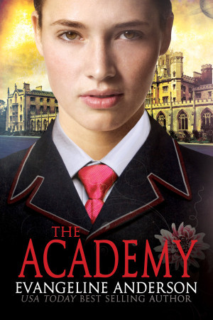 Capa do Livro The Academy