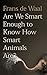 Are We Smart Enough To Know How Smart Animals Are?
