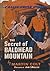 The Secret of Baldhead Mountain (Roger Baxter, #2)