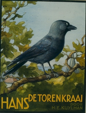 Hans de Torenkraai (Hardcover)