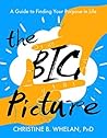 The Big Picture: ...