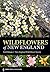 Wildflowers of New England (A Timber Press Field Guide)