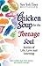 Chicken Soup for the Teenage Soul by Jack Canfield