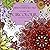 Circolour: Mandalas & Patterns