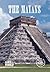 The Mayans (KS2 History)