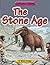 Stone Age