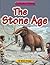 Stone Age