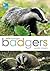 RSPB Spotlight: Badgers