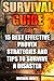 Survival Guide: 15 Best Effective Proven Strategies and Tips to Survive a Disaster: (Home Defense, Foraging, Economic Collapse, Bug Out Bag, Bushcraft, Prepping, Survival Skills)
