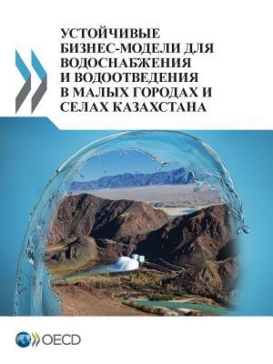 Sustainable Business Models for Water Supply and Sanitation in Small Towns and Rural Settlements in Kazakhstan (Russian version) (Russian Edition)