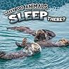 Why Do Animals Sleep There?