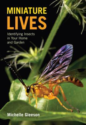 Miniature Lives [OP]: Identifying Insects in Your Home and Garden (Paperback)