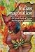 Indian Imagination by C L Khatri