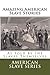 Amazing American Slave Stories: As Told by the Slaves Themselves