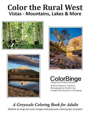 Color the Rural West, Vistas - Mountains, Lakes & More: A Greyscale Coloring Book for Adults