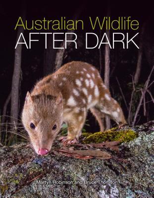 Australian Wildlife After Dark [OP]