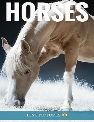 Horses: Animal Books Vol. 1