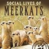 Social Lives of Meerkats (Animal Behaviors)