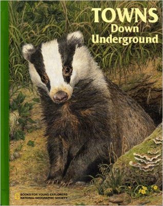 Towns down underground (Books for young explorers)