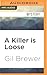 Killer is Loose, A