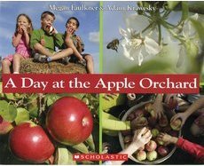 A Day at the Apple Orchard (Paperback)