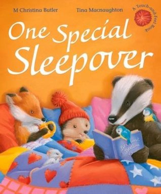 One Special Sleepover (Little Hedgehog #8)