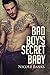 Bad Boy's Secret Baby