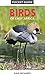 Pocket Guide to Birds of East Africa