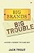 BIG BRANDS BIG TROUBLE : LESSONS LEARNED THE HARD WAY [Paperback] JACK TROUT