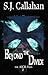 Beyond the Divide (The Aicil Paranormal Files, #2)