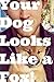 Your Dog Looks Like A Fox! by James D. Scurlock
