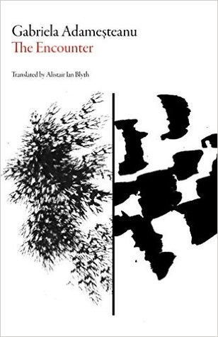 The Encounter (Romanian Literature)