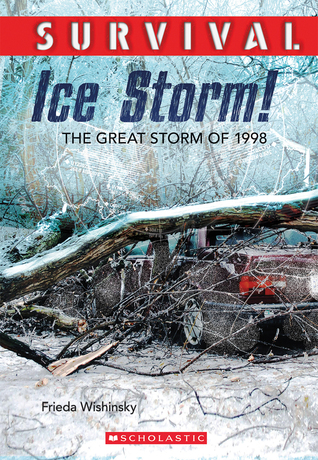 Survival: Ice Storm! (Paperback)