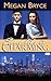 Some Like It Charming by Megan Bryce
