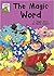 The Magic Word (Leapfrog)
